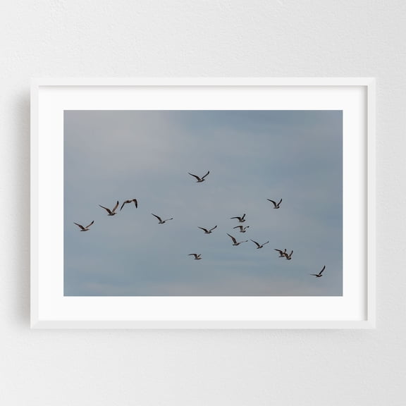 A Flock of Seagulls, Cape May New Jersey - Cape May New Jersey Photography Bird Wildlife Nature Seascape Minimalist White Framed Wall Art Print 24 x 36 inches