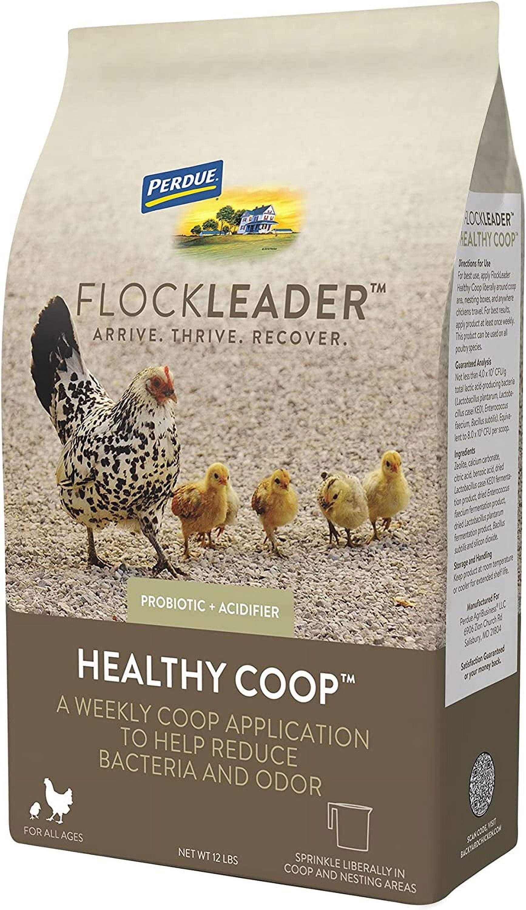 FlockLeader Healthy Coop, Litter Additive for Chicken Coop with Probiotic & Acidifier, Reduces Odor, Wetness & Bacteria, 12lbs FlockLeader HealthyCoop
