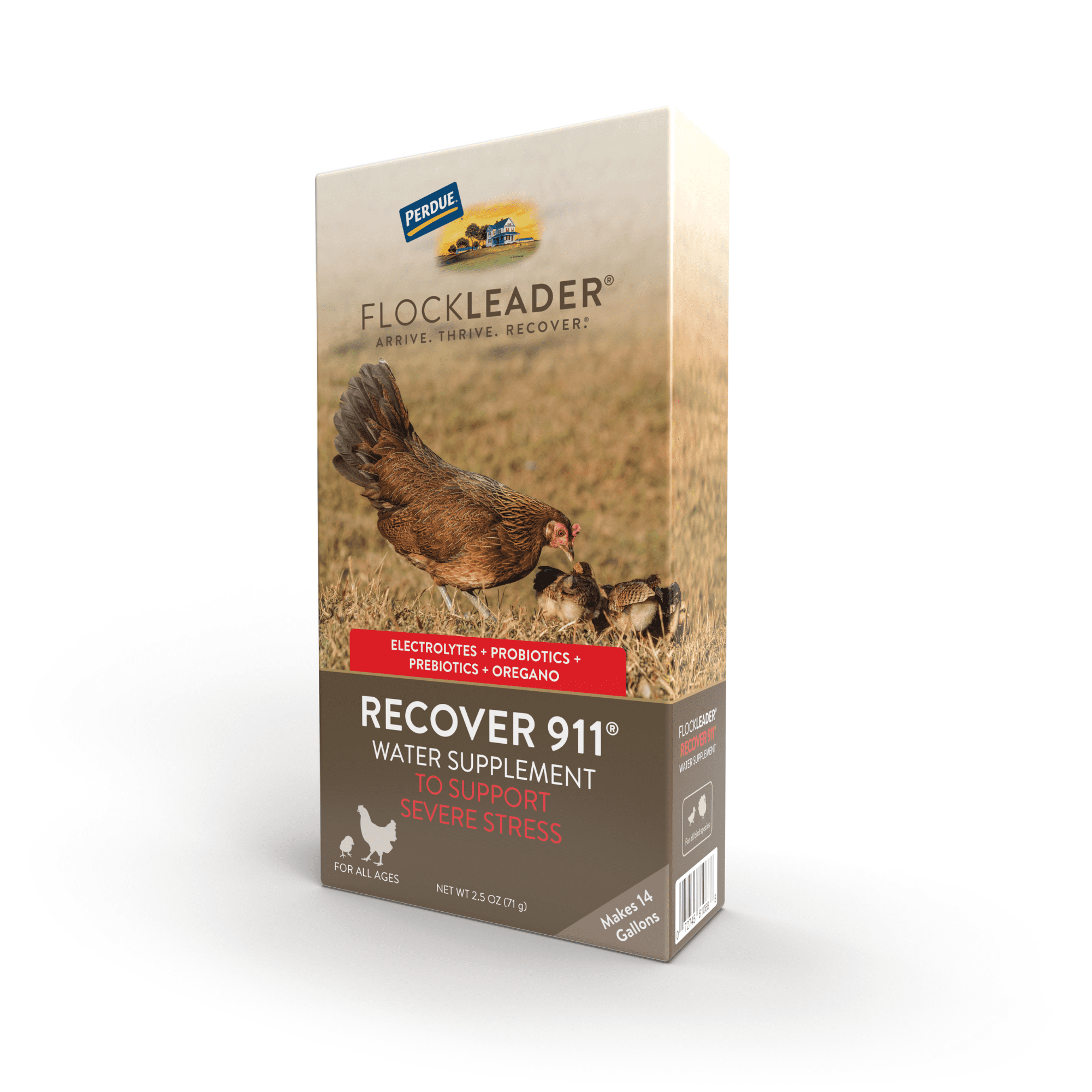 FlockLeader Recover 911 Poultry Supplement for Chickens, 2.5 Ounce