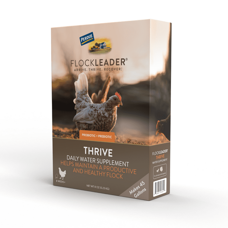 FlockLeader Thrive Chicken Supplement, 8 Ounce FlockLeader Thrive Chicken Supplement, 8 Ounce