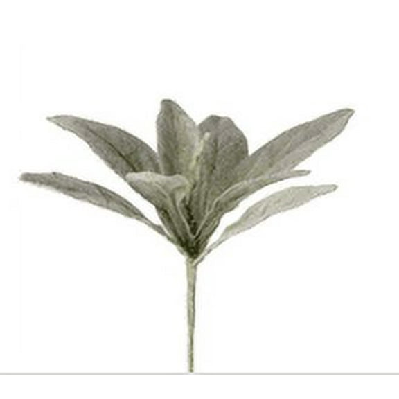 Flocked Lambs Ear Plant 16" Grey/Green