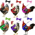 thumbnail image 1 of Floleo Chicken Harness Hen Size With Matching Leash – Adjustable, Resilient, Comfortable, Breathable, Large Size, Suitable For Chicken, 1 of 1
