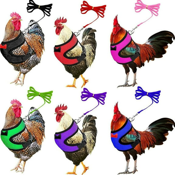 Floleo Chicken Harness Hen Size With Matching Leash – Adjustable, Resilient, Comfortable, Breathable, Large Size, Suitable For Chicken