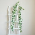 thumbnail image 1 of Floleo Clearance Artificial Vines Ivy Garland, 70" Fake Vine with Silk Green Leaves Faux Hanging Plants Greenery Decoration for Bedroom Home Wall Party, Wedding Arch Apartment Room Decor (Ivy), 1 of 6
