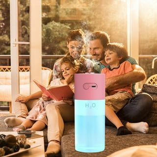 Air cleaner for home walmart deals
