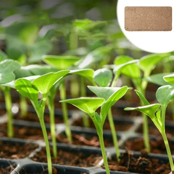 Floleo Coco Coir Brick For Plants,Natural Organic Compressed Coconut Coir Fiber With Low Ec & Ph Balance,High Nutrition Coconut Soil Coco Fiber For Planting