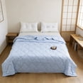 thumbnail image 1 of Floleo Cool Summer Quilt 39x59 in Lightweight Breathable Air Conditioning Blanket, Soft Comforter with Silk Fill for Hot Sleepers, Machine Washable, 1 of 6