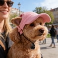 thumbnail image 1 of Floleo Dog Hat for Small Dogs, Corduroy Pet Baseball Cap with Adjustable Strap, Sun Protection Puppy Hat for Cats, Cute Breathable Cap for Yorkie Chihuahua Pomeranian, 1 of 6