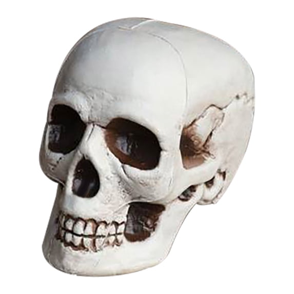 Floleo Halloween Realistic Skull Prop Plastic Mini Skeleton Head, Fake Human Skull Bone Model for Party Horror Theme Tabletop Home Decor