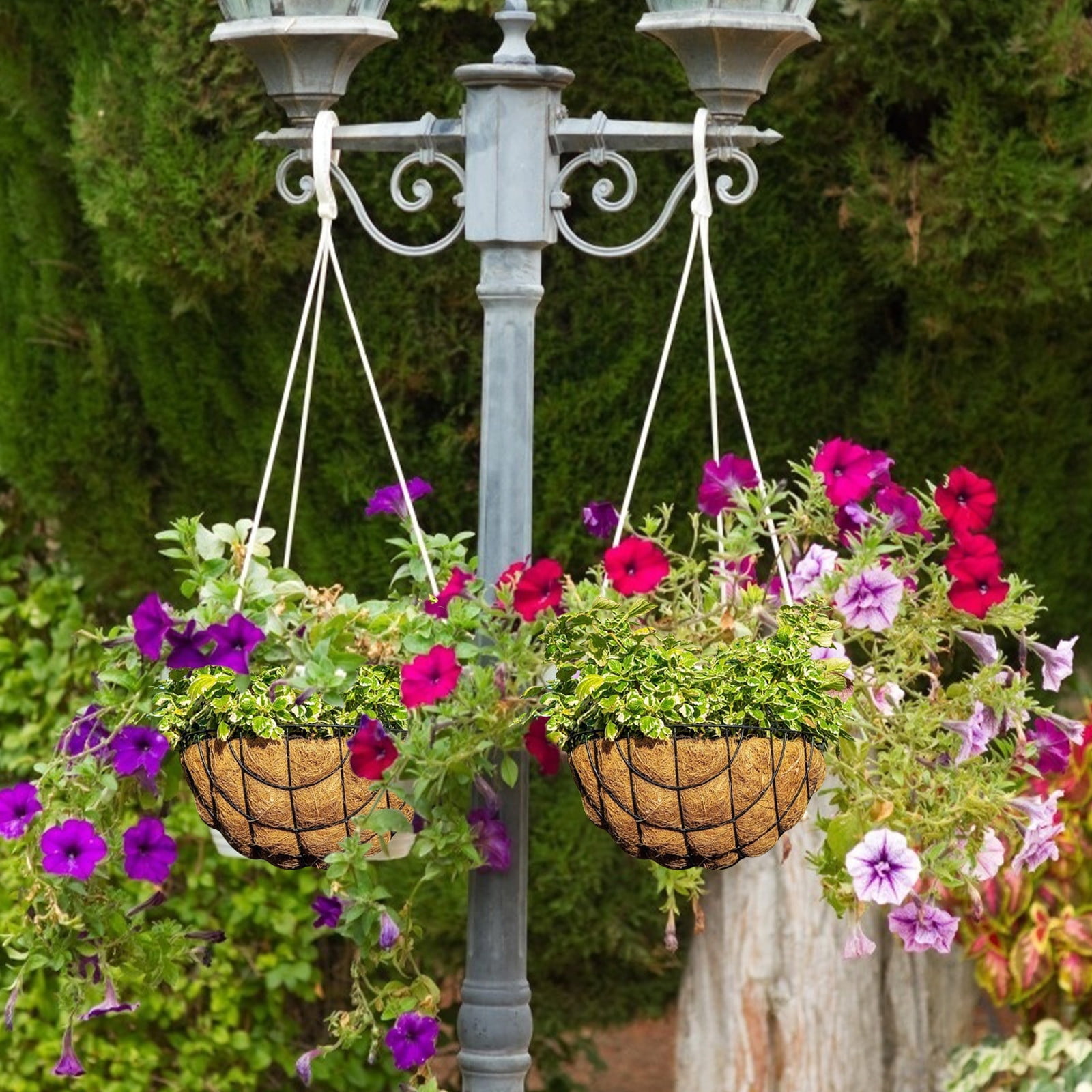 Fnochy Hanging Plant Basket Flower Holder-Metal Wire Round Hanging Basket  Planter With Coco Fiber Liners For Plants Flower Pots Indoor Outdoor Garden  Porch And Balcony Decor - Walmart.com