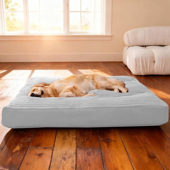 Floleo Large Dog Bed 24x19 Inch, Washable Pet Mattress with Thick Padding for Medium to Large Dogs, Green Plush Cushion for Indoor Use, Machine Washable Dog Sleeping Pad