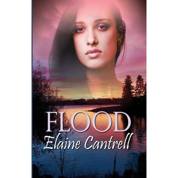 Flood (Paperback)