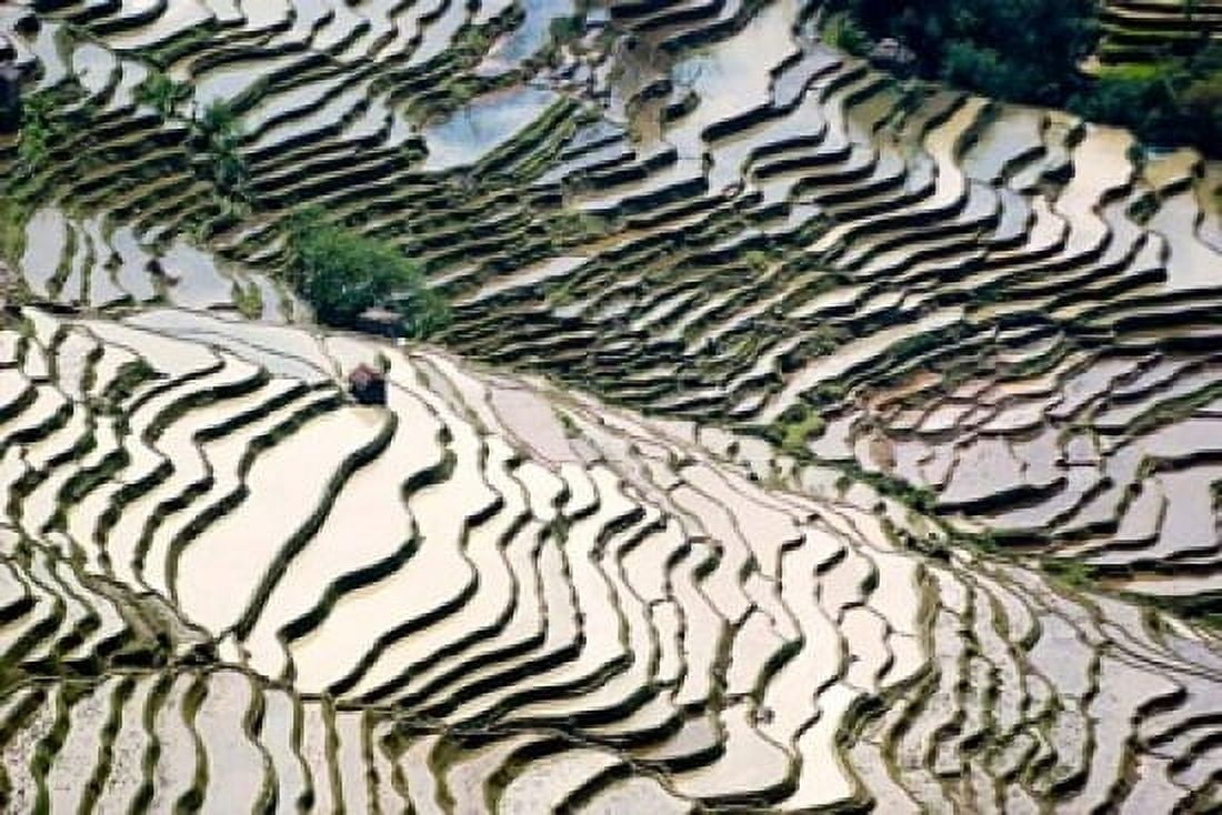 Flooded Bada Rice Terraces Yuanyang County Yunnan Province China Canvas Art - Charles Crust DanitaDelimont (24 x 15)