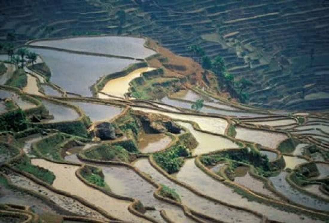 Flooded Rice Terraces of Honghe China Canvas Art - Charles Crust DanitaDelimont (35 x 24)
