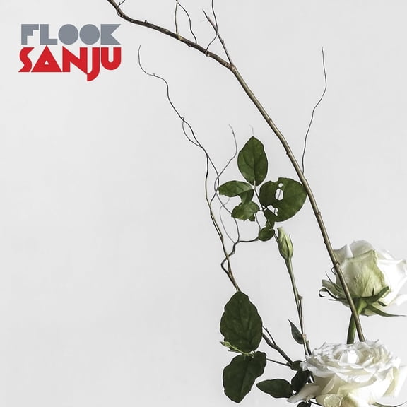 Flook Sanju (CD) Album