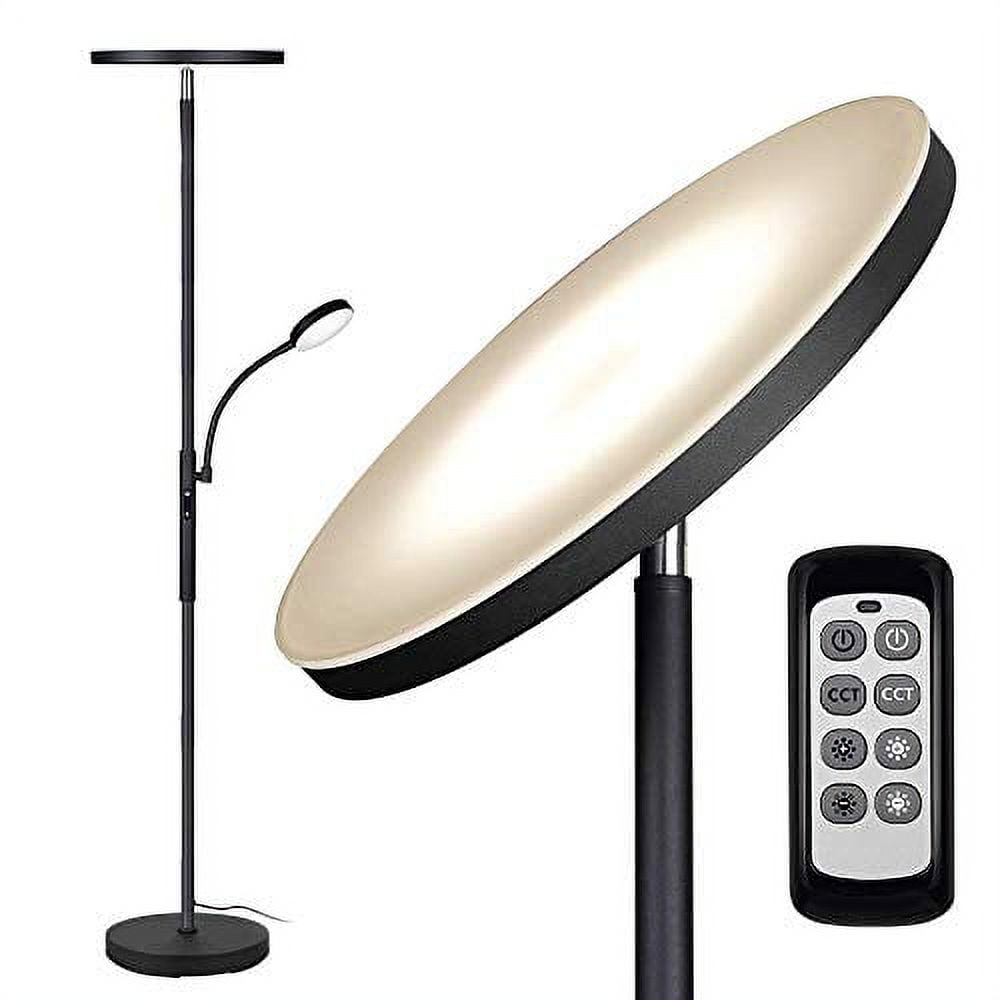 Matte Black Adjustable LED Floor Lamp with Remote Control