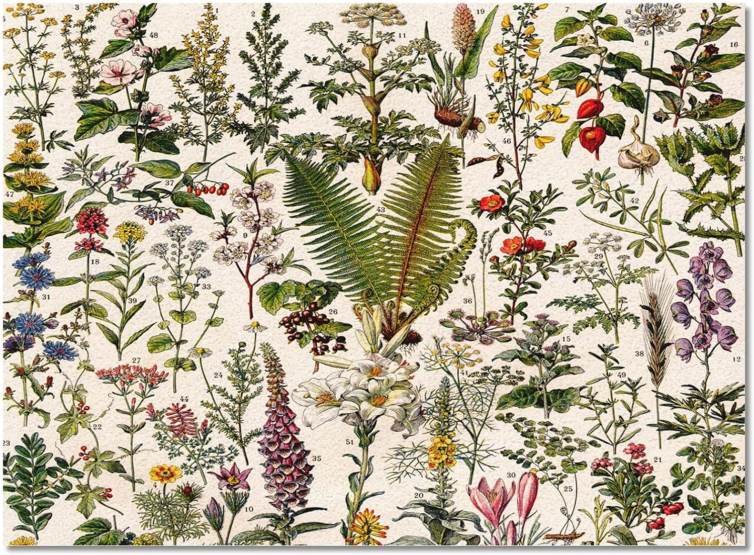 Floor Mat Printing Vintage Poster Plant Flower Carpet for Home Living