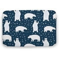 thumbnail image 1 of Floor Rug Funny Bathroom Doormats, Blue White Bear Snow Entrance Doormats Indoor Non-Slip Front Door Mat Bath Mat Absorbent Door Mats for Kitchen Bedroom Floor Mats 16"×24", 1 of 4