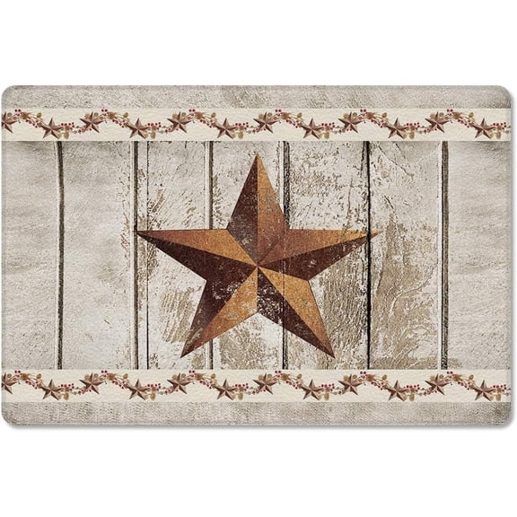 Floor Rug Home Front Door Mat Doormat Indoor Soft Western Texas Star Rustic Wood Farm Pattern Entrance Non Slip Entryway Inside 16x24 Inch