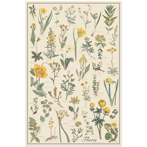 Flora Antique Style Botanical Chart Poster, Unframed Paper Poster 8x10in
