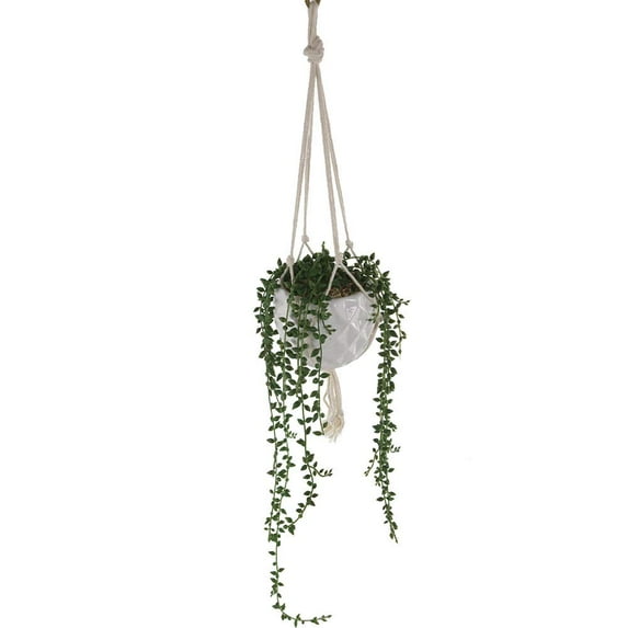 Flora Bunda 13 Inches Long String of Pearl Lover's Tear Macrame Hanging Ceramic Donkey Tails Planter