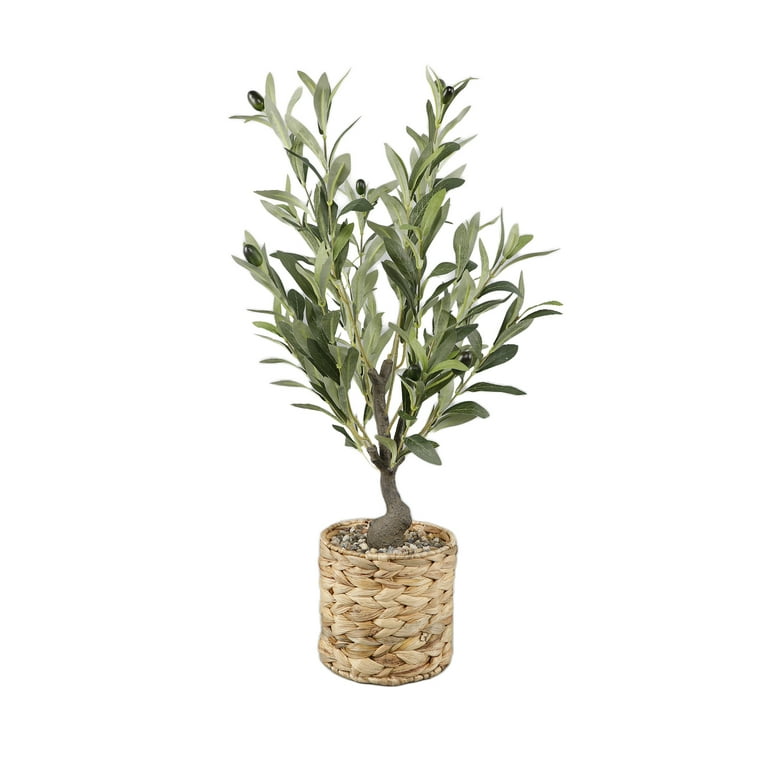 Flora Bunda 26