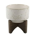thumbnail image 1 of Flora Bunda 4 Inch Constellation Ceramic Pot on Wood Stand Mid Century,Ivory 4", 1 of 5