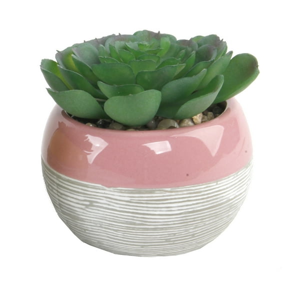 Flora Bunda Artificial Succulent in Two Tone Pink Ceramic Pot
