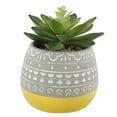 thumbnail image 1 of Flora Bunda Artificial Succulent in Two Tone Yellow Ceramic Pot, 1 of 5