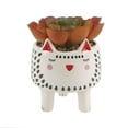 thumbnail image 1 of Flora Bunda CS2634E-WH Faux Succulent in 4.75' Small White Cat Ceramic Planter, 1 of 6