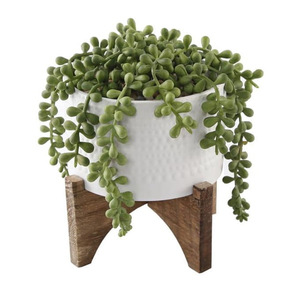 Flora Bunda CS2956E-MTWH 5' String of Pearl in Hobnail Ceramic Planter on Stand