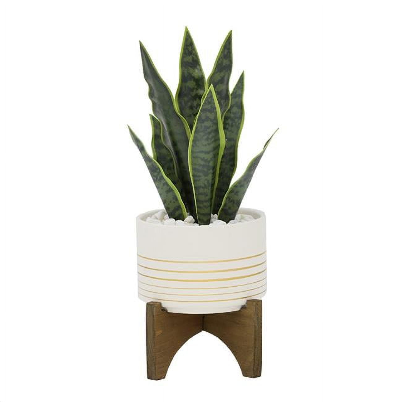 Flora Bunda CS3039E-WH 12'H Snake plant in 4.75' Ceramic Planter on ...