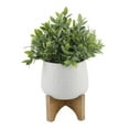 thumbnail image 1 of Flora Bunda CS4595E-MTWH 15' Tea-leaf in 7.87' Mayan Ceramic on Stand, 1 of 3