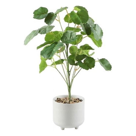 Flora Bunda CS4653E-MTWH 17.5''H Pilea in 4.75' Ceramic Footed 4.7X4.7X4.3