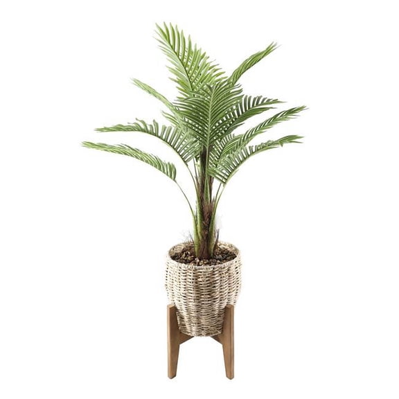 Flora Bunda CS5030E-NAT 45' Palm in 10' Basket on Stand
