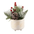 thumbnail image 1 of Flora Bunda Christmas Arrangement in 4.75 in Berries Ceramic Footed Pot Holiday Home D√©cor Centerpiece,White, 1 of 2