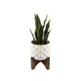 thumbnail image 1 of Flora Bunda Large 12" Realistic Looking Artificial Snake Plant in Dimple Ceramic Pot with Wooden Stand for Outdoor Indoor Home or Office D√©cor Artificial Plant, Fake Plant, 1 of 4