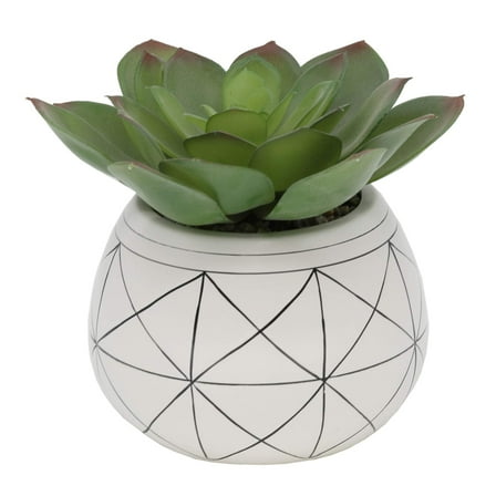 Flora Bunda Mid Century Artificial Plants Artificial Succulent in 6.5 Inch Round Geometric Hand Painted Planter with Legs,6.5" Round White/Black Line