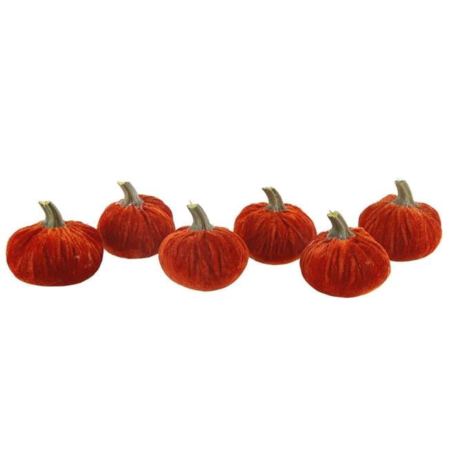 Flora Bunda FA2517E-OR S/6 ORANGE VELVET PUMPKINS IN BOX(SM)
