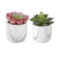 thumbnail image 1 of Flora Bunda Set of 2 Artificial Succulent in Marble Ceramic Pot 4" Planter Mid Century, for Desk, Office, Living Room, and Home Decoration, 1 of 1