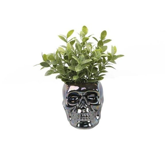 Flora Bunda HW5428E-METIR Succ in Metalic Iridescent Skull Ceramic 3.75X4.5X4