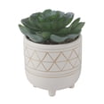 thumbnail image 1 of Flora Bunda Tabletop 4.75" Artificial Cactus in Gols Geo Ceramic Pot, 1 of 3