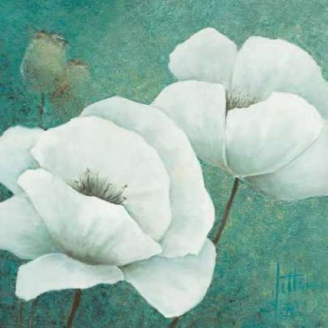 Flora II Canvas Art - Jettie Roseboom (24 x 24)