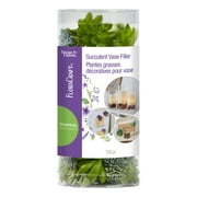 FloraCraft Artificial Succulent Vase Filler 2.8 Ounce Assorted Green 2.8 Ounce