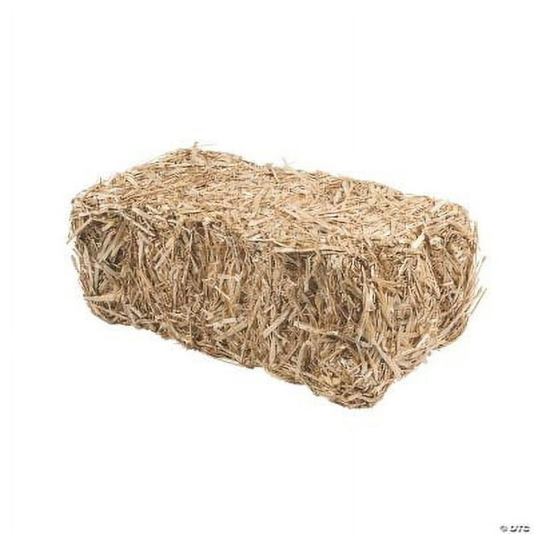 Package of 6 Mini Hay Bales Made of Real Dried Straw for Crafting, Embellsihing and Creating