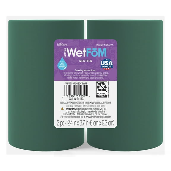 FloraCraft Artesia WetFM Mug Plug, 2.4 in x 3.75 in, Green, 2 Pieces Floral Arranging Supply