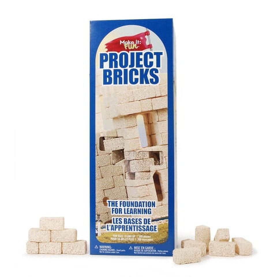 FloraCraft Make It Fun Prepainted Foam Bricks, 300 Pieces 