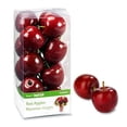 thumbnail image 1 of FloraCraft Mini Fruit, Red Apple, Decorative, 15 Piece Set, Lifelike, 1 of 5