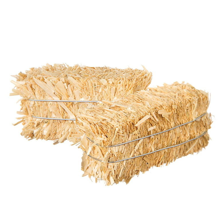 https://i5.walmartimages.com/seo/FloraCraft-Straw-Weavers-Micro-Bale-Natural-2-5-x-1-25-inches-2-pack_09bc8f6a-8cb2-4561-9c33-e9e82abb9781_1.00767e15af65947de21c647c87c09ff2.jpeg?odnHeight=768&odnWidth=768&odnBg=FFFFFF