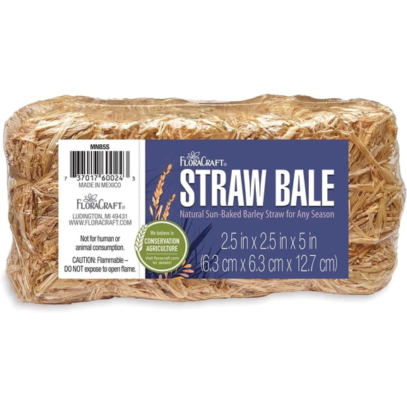FloraCraft Decorative Straw Bale Natural Barley Straw 2.5 x 2.5 x 5 Inch
